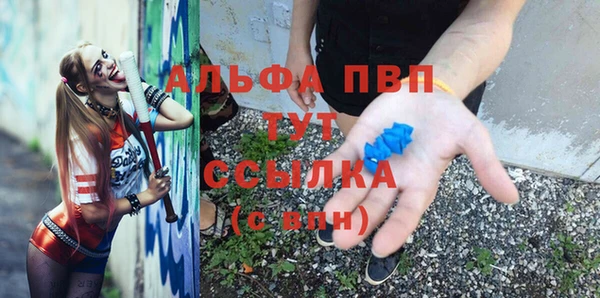PSILOCYBIN Инсар