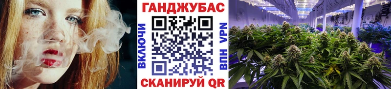 Шишки марихуана конопля Дудинка